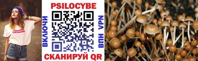 Купить закладки  Соль-Илецк  Галлюциногенные грибы MAGIC MUSHROOMS 